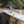 8ft Southern Swells Round Tail Clear Epoxy Finish (FINS Included)