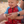 Baby to Toddler Pulse Shorty Summer Wetsuit (Ages 1-5)